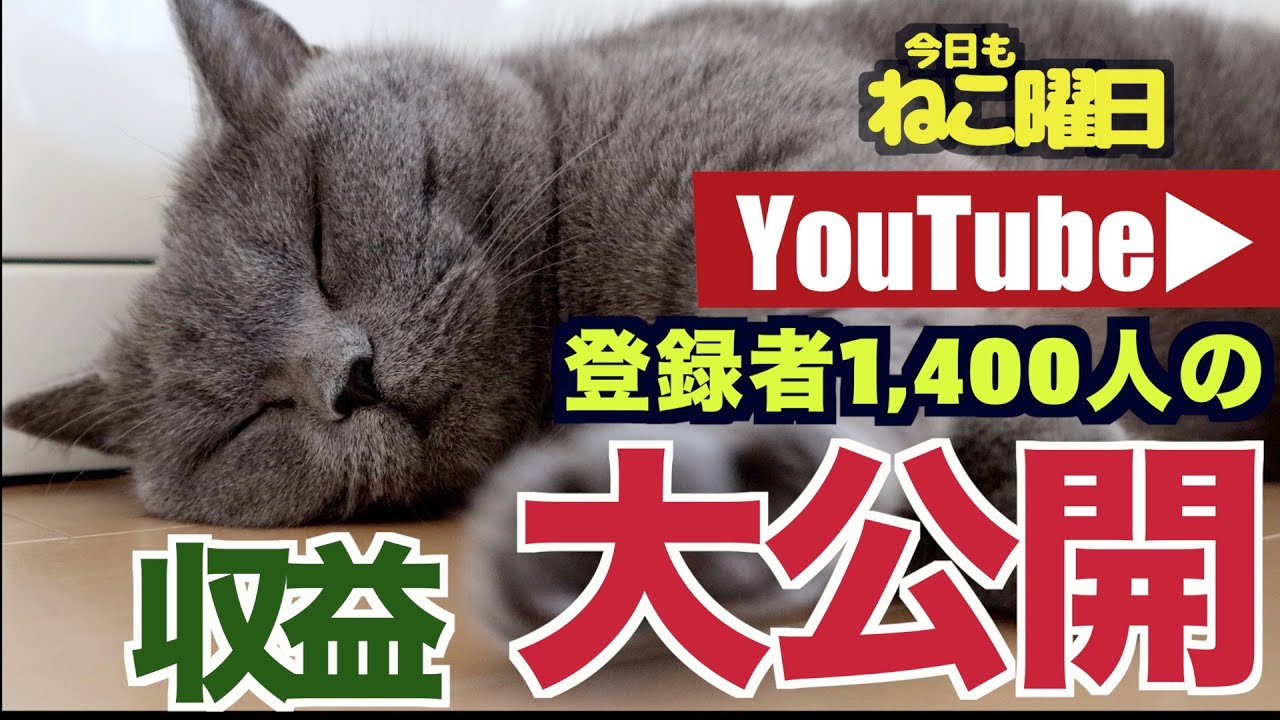 【YouTube収益化達成記念！】ねこYouTuberの収益！大公開します！