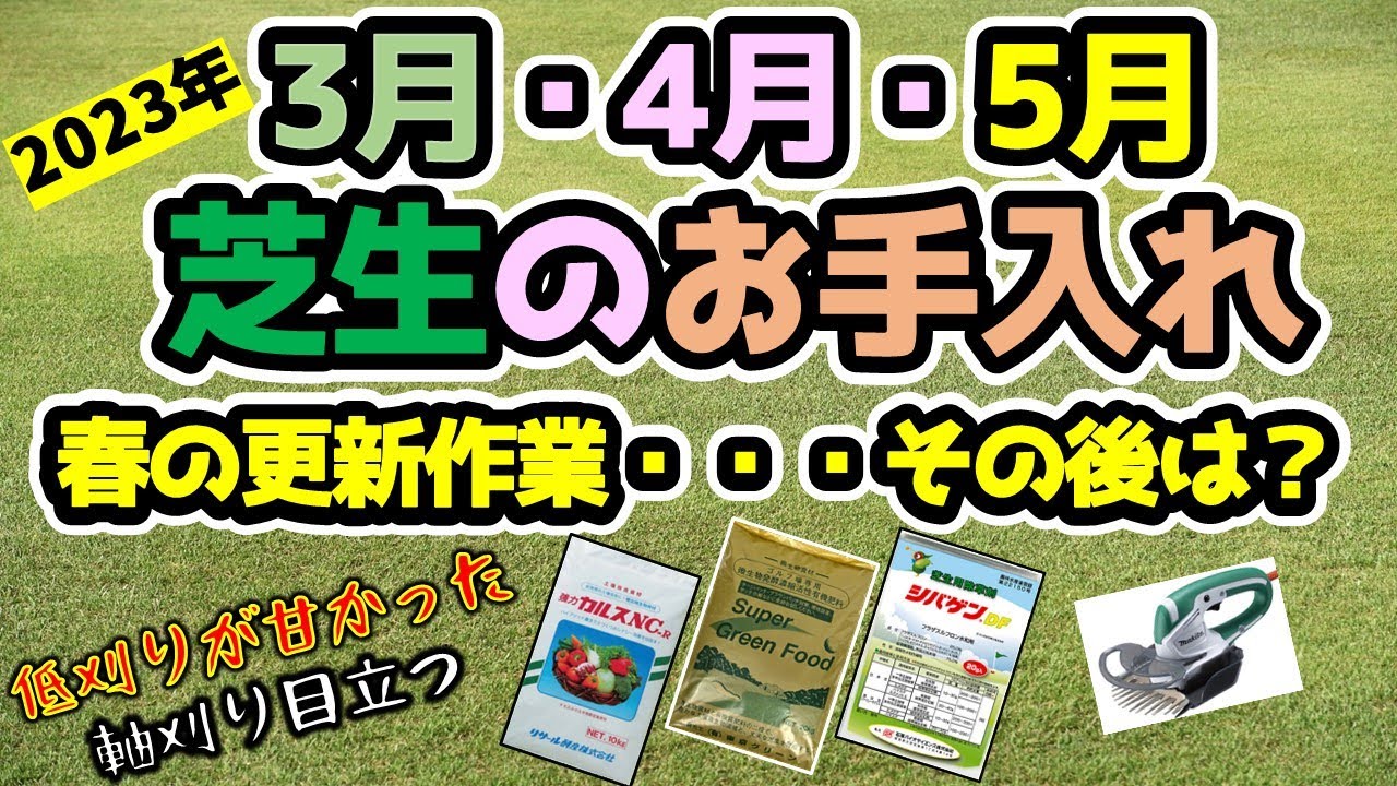【芝生作業】3月・4月に行った事。5月に行う予定の芝生作業です。春の更新後の芝生の状態を見てください。ちょっと想定とは・・・