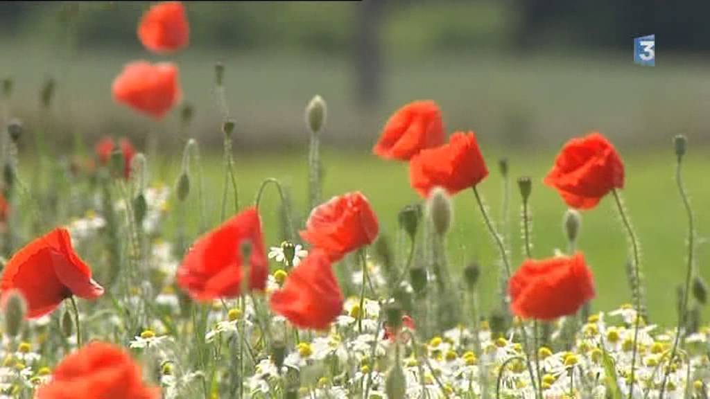 Une nouvelle &eacute;tape vers le Parc naturel r&eacute;gional de Picardie maritime