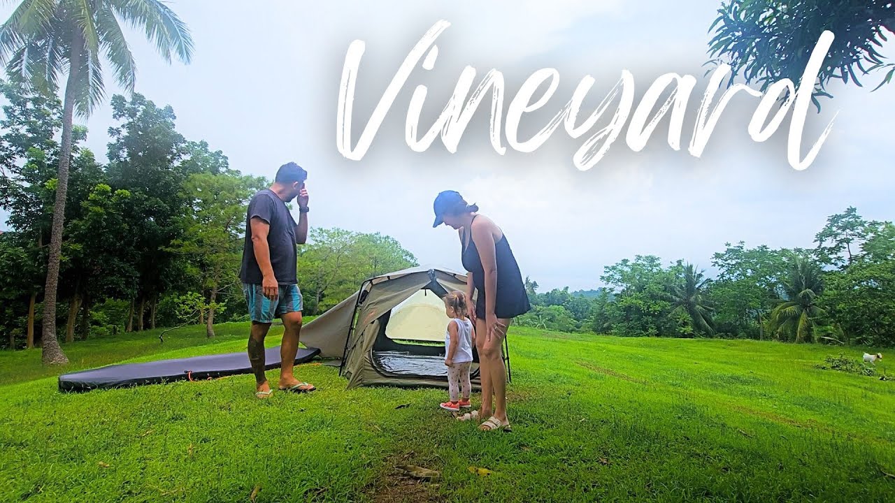 Vineyard | Episode 76
