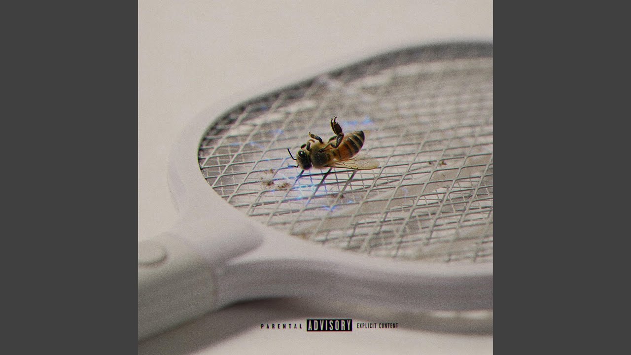 Pest Control