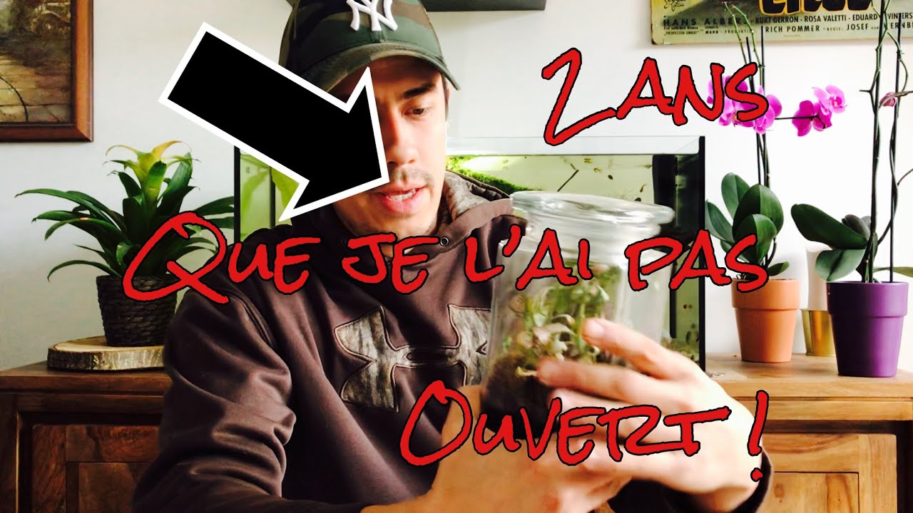 Un terrarium éternel ?