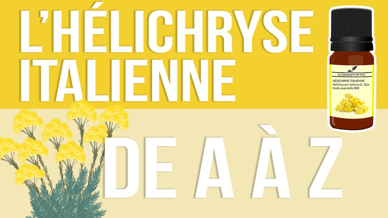 [HUILES ESSENTIELLES] À la découverte de l’Hélichryse Italienne