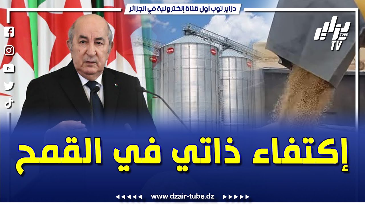 إنجاز كبير للجزائر..الإكتفاء الذاتي في القمح الصلب أصبح قريب المنال..فيديو غرافيك يروي القصة كاملة