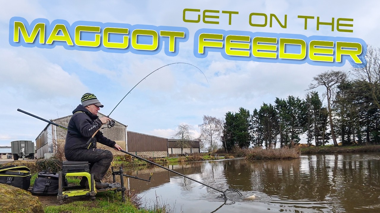 Get On The Maggot Feeder!