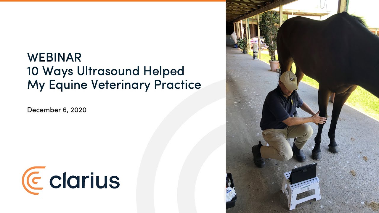 10 Ways Ultrasound Helped My Equine Veterinary Practice