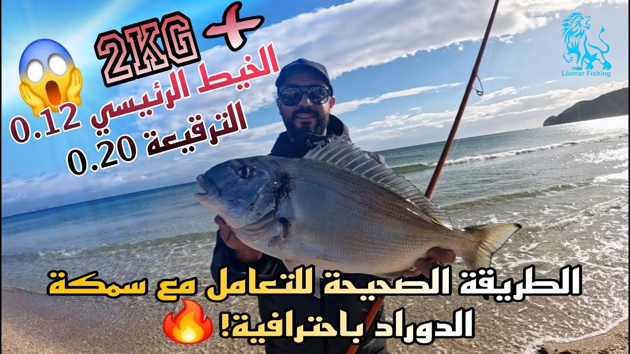 مصايد الشمال ,حصيلة ممتازة مع سمكة الدوراد💥💥💥SURFCASTING 🐟🐟🐟LIOMAR FISHING TEAM
