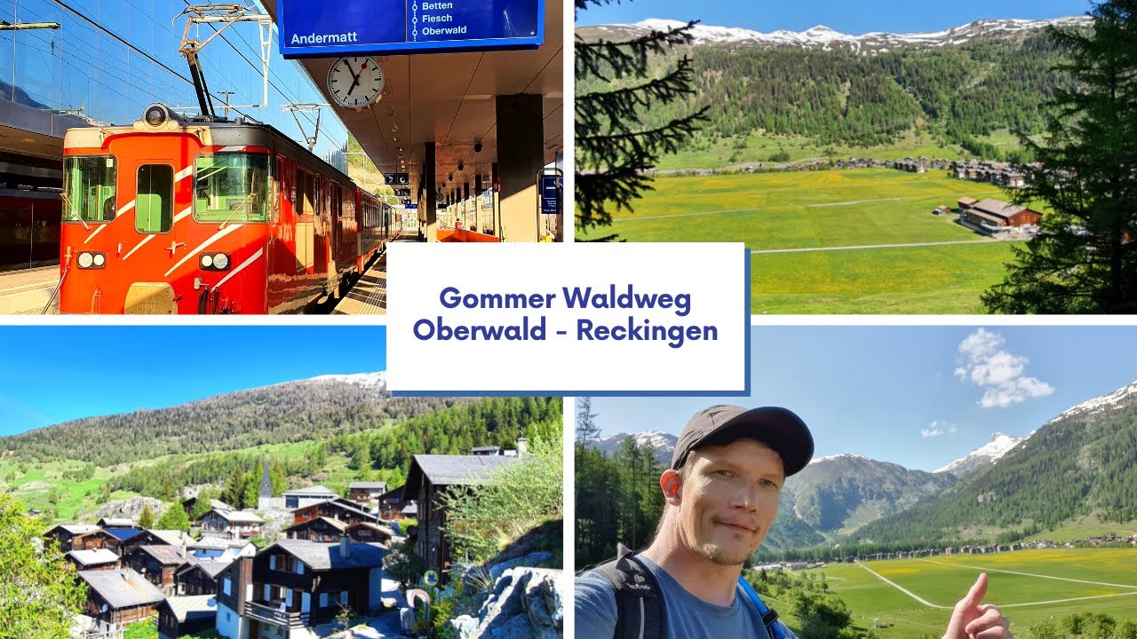 Gommer Waldweg Oberwald - Reckingen Kanton Wallis Schweiz