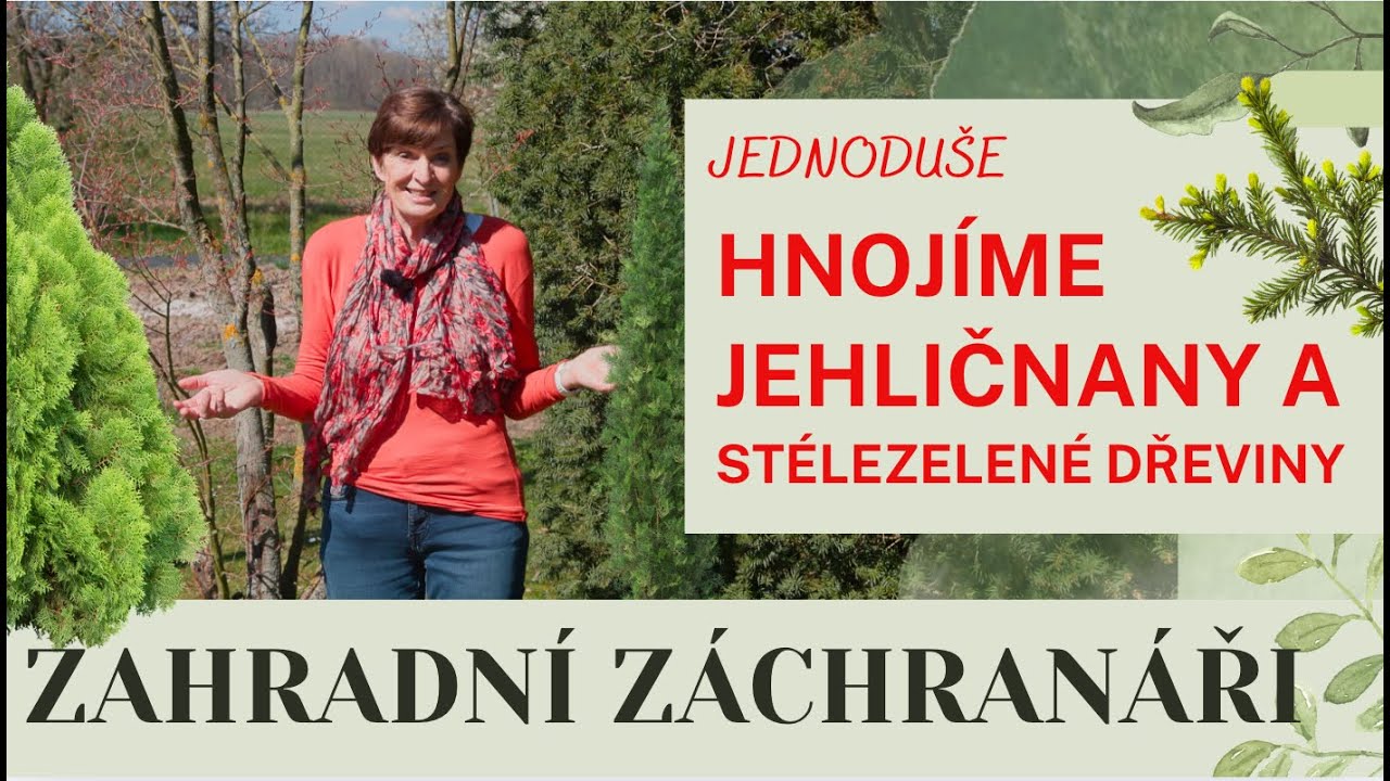 Jarní hnojení jehličnanů a stálezelených dřevin #zahrada #zahradnizachranari #jehlicnany #hnojeni
