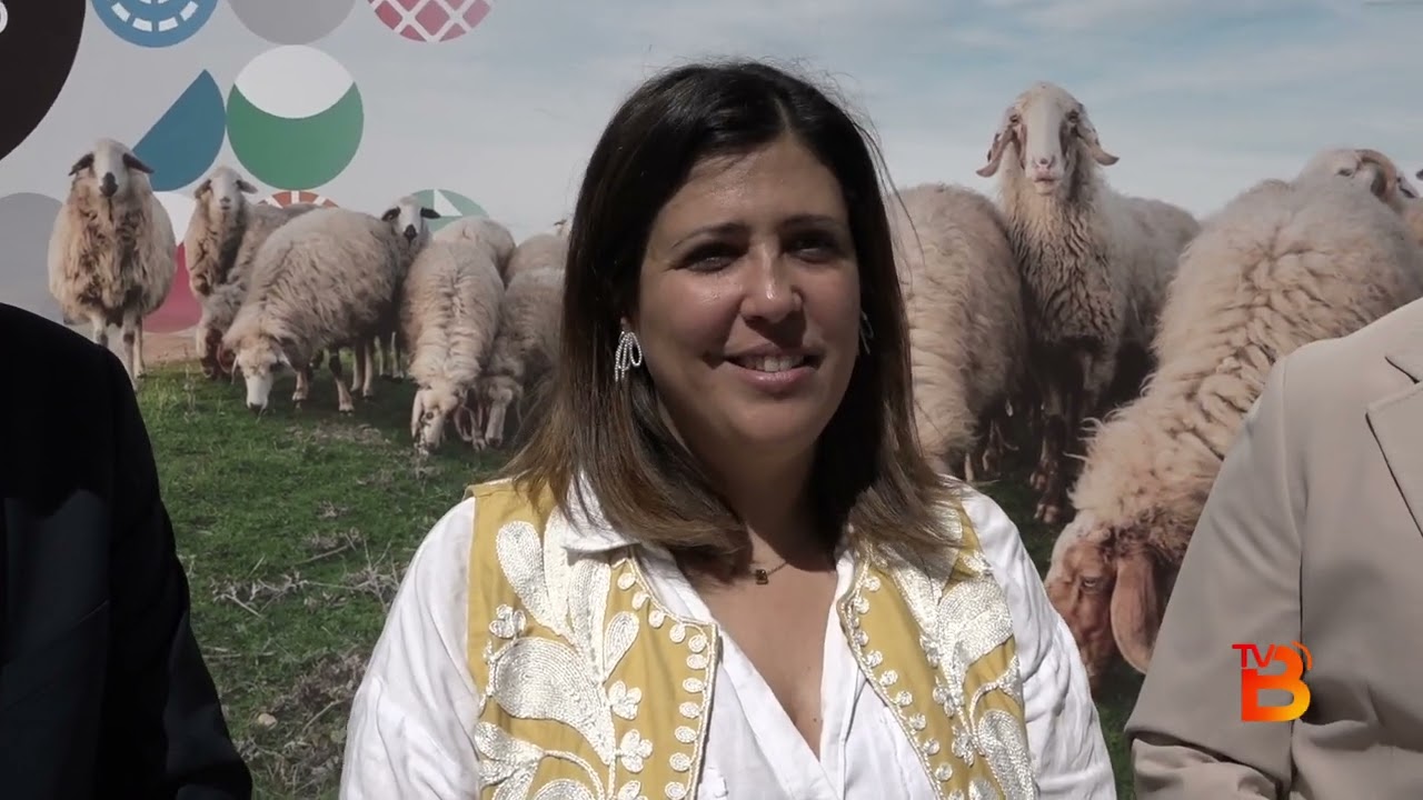 Fromago 2024: La gran fiesta del queso en Zamora