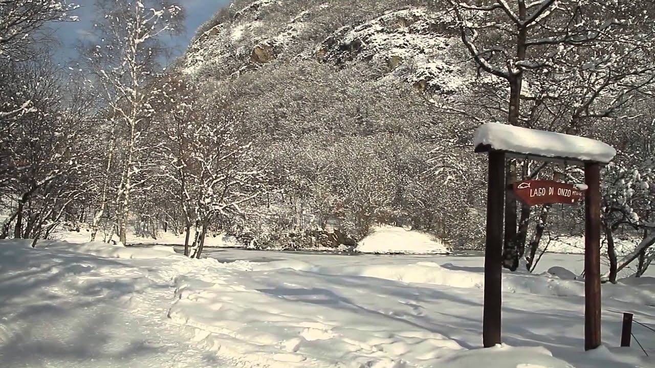 PROAIM Slider 61cm + stativ (film-technika.com)
