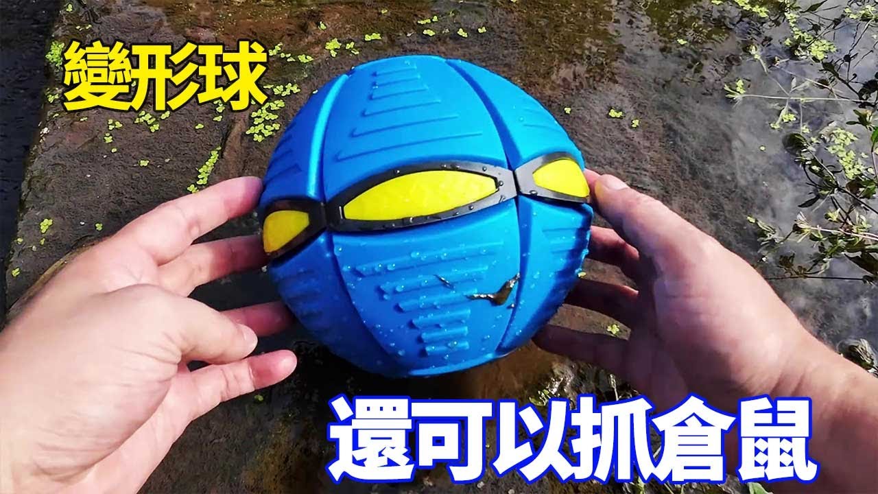 撿到一個被五花大綁的飛碟變形球，巧妙改裝一下，竟然可以抓倉鼠！ 【野王戶外大坤】