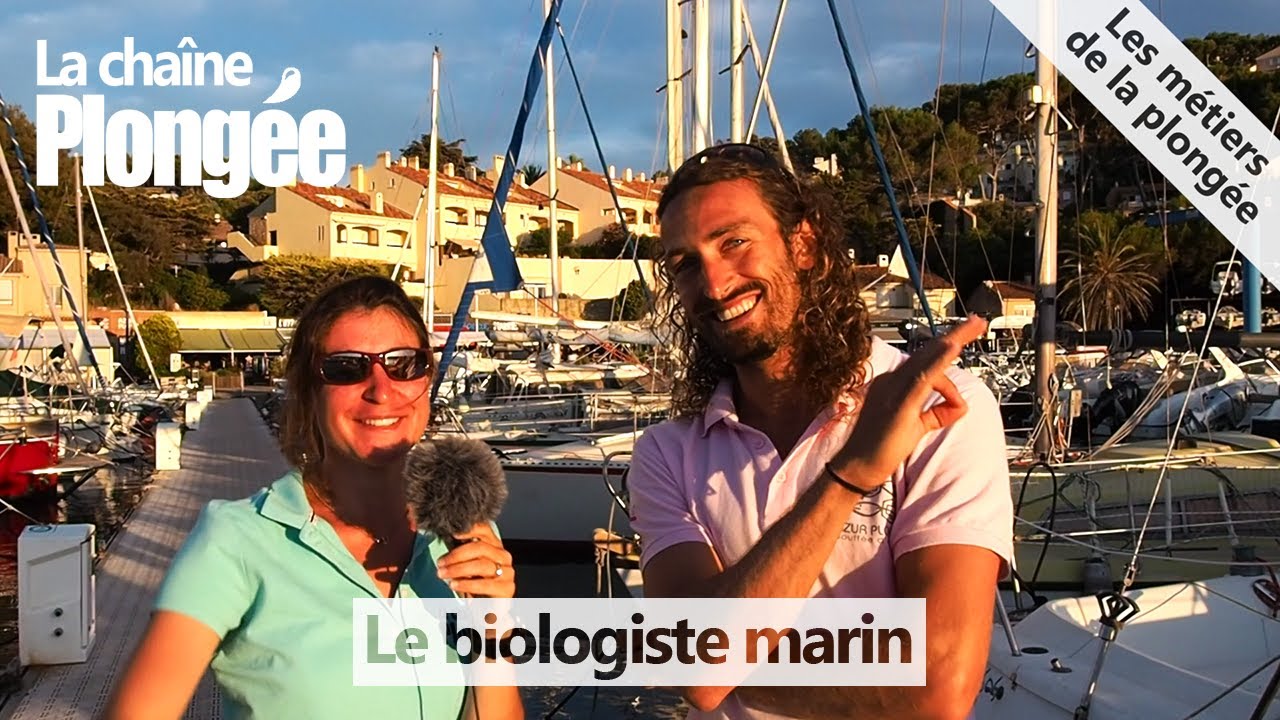 MÉTIER : LE BIOLOGISTE MARIN 🙂