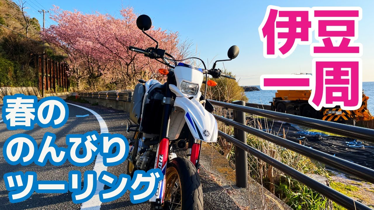 【伊豆一周】ソロツーリング海岸線の日帰り旅！春の静岡編【WR250X】