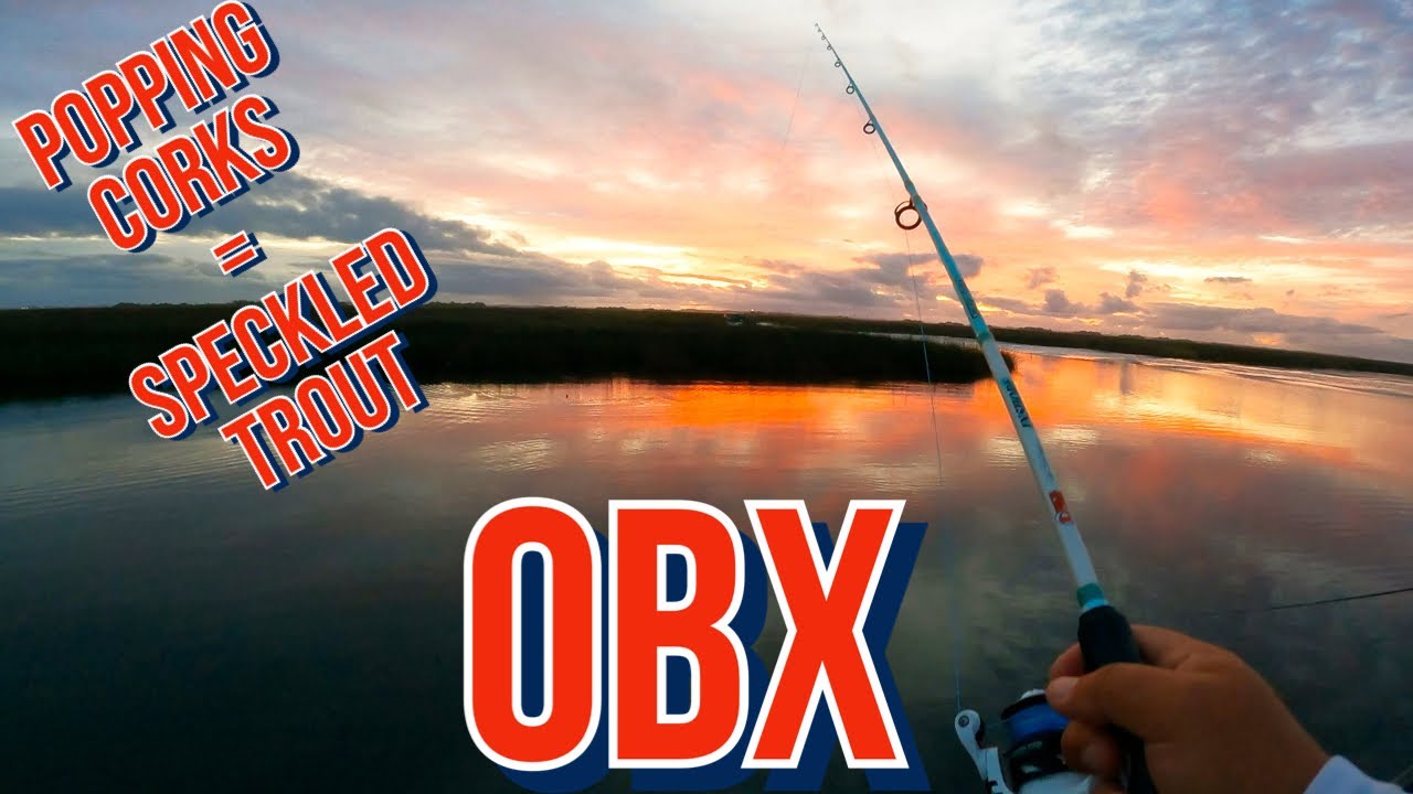 Popping Corks = SPECKLED TROUT - A FANTASTIC ADVENTURE in the PAMLICO SOUND OBX! DOLPHIN ENCOUNTER!