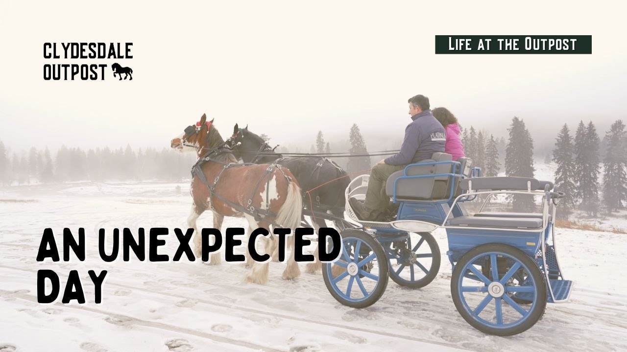 Feeding the Clydesdales | Life at the Outpost Ep. 6