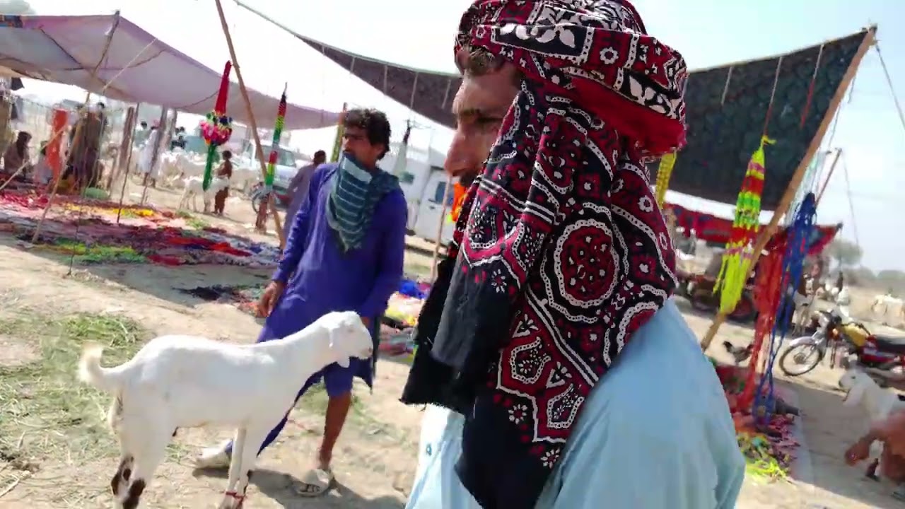 2 March 2026 Muhammad pur mundi ka visit 