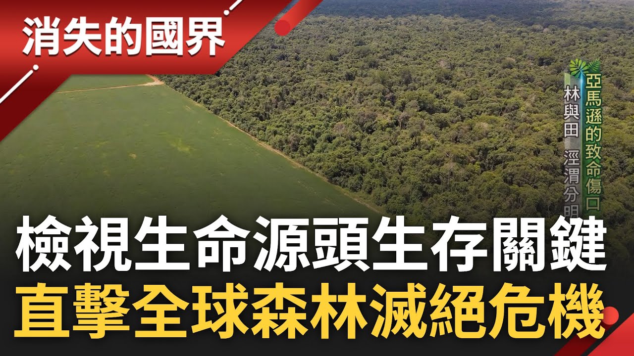 直擊全球森林之死! 森林成人類生存關鍵 更是抵禦災難性氣候變遷最後防線 生態圈系統性失調釀林地生存挑戰 重回森林源頭審視人與土地關係 │李文儀主持│【消失的國界完整版】20230617│三立新聞台