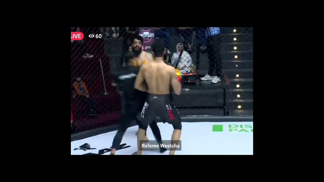 shah zaib vs saraj