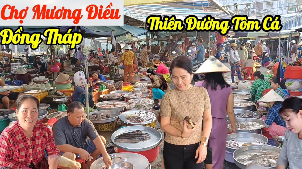 Về Đồng Tháp đi Chợ Mương Điều , toàn Đặc Sản Thiên Nhiên, gặp chị gái bán rau vui tính 