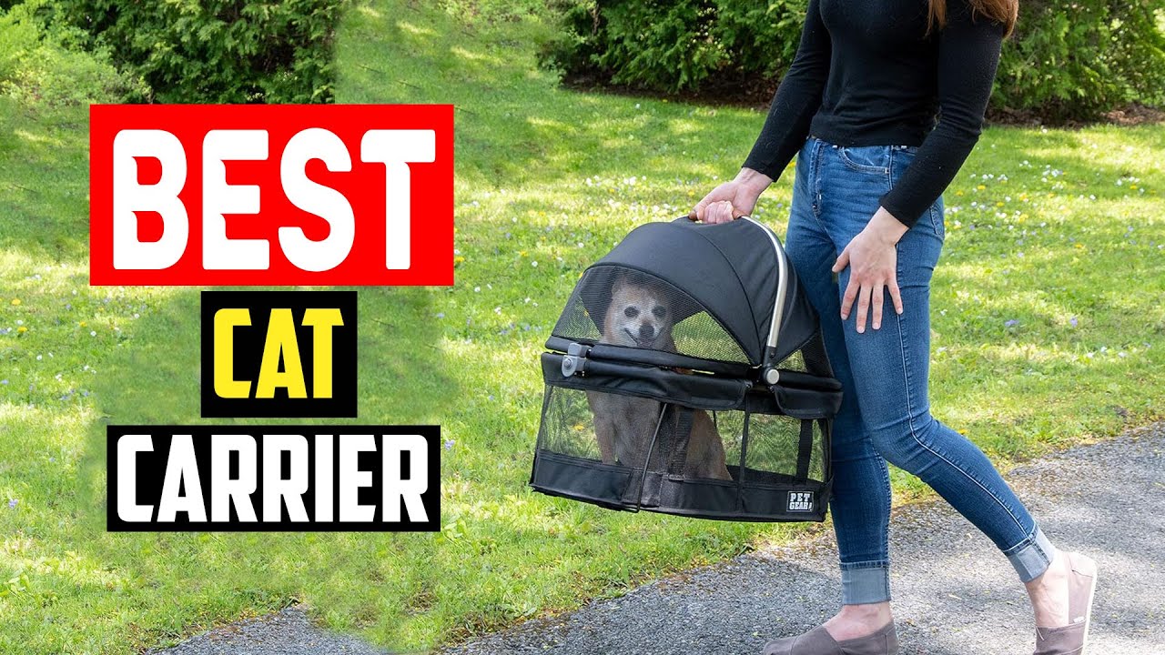 ✅Top 5 Best Cat Carrier For Road Trips Is Crash Test Certified of 2025