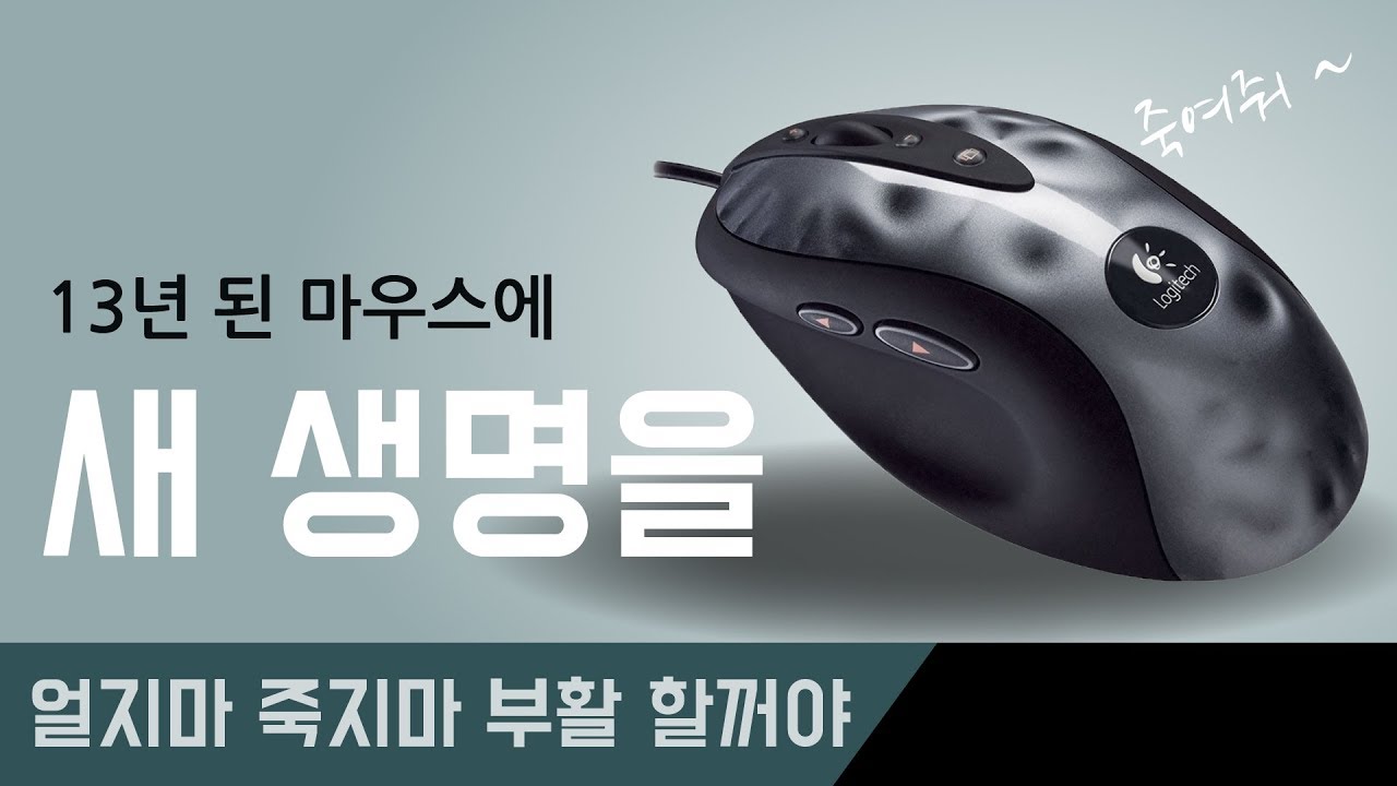13년된 마우스에 새 생명을 불어 넣는, 스위치 패널 교체 로지텍 MX518