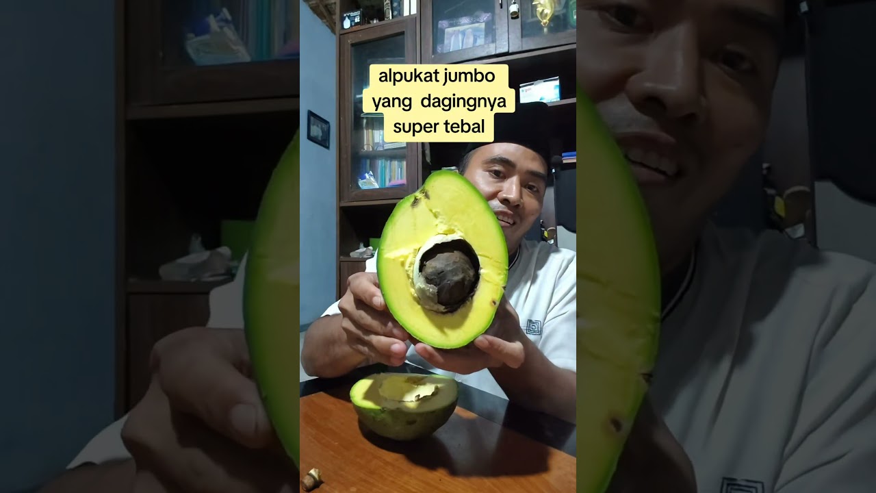 alpukat jumbo yang dagingnya super tebal #agrotoko #buah #reviewbuah #alpukatkendil #reviewbuah