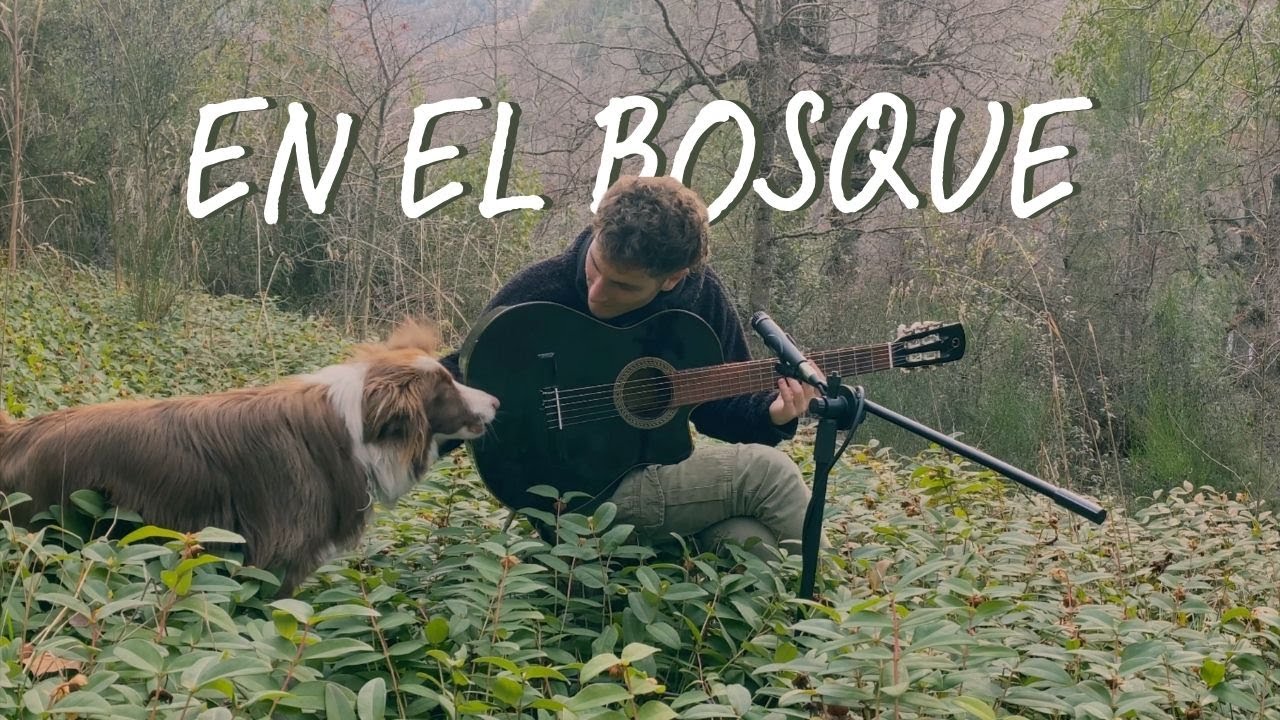 Felix Alvarez - Aguitaecoco (Simon Grossman) - cover en el bosque