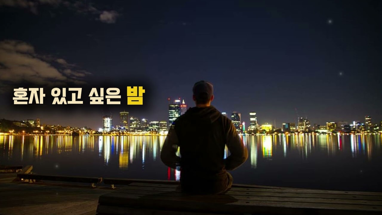 혼자 있고 싶은 밤, 도시 위에서 | BIONA Quiet Night