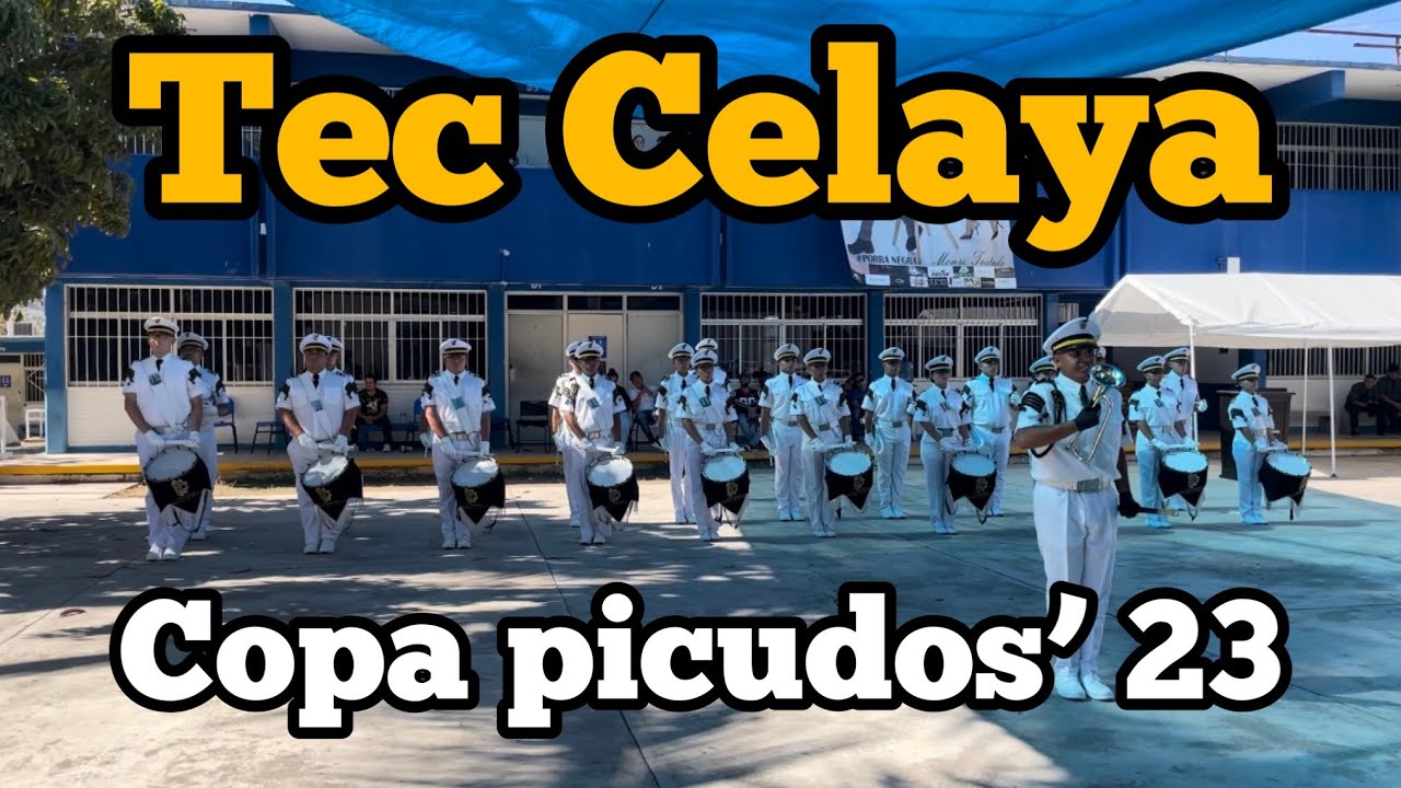 Bdg instituto tecnológico de Celaya