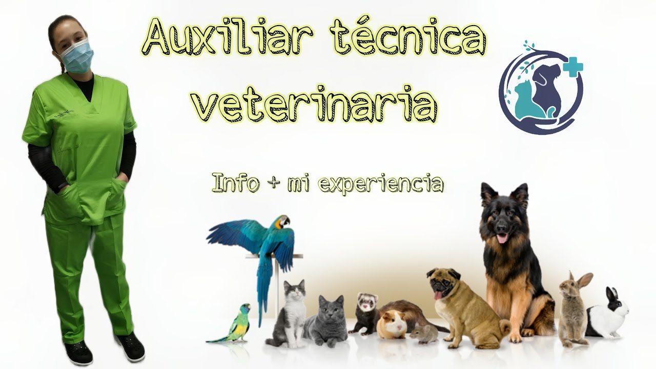Auxiliar técnica veterinaria❤ / Mi experiencia / Info curso