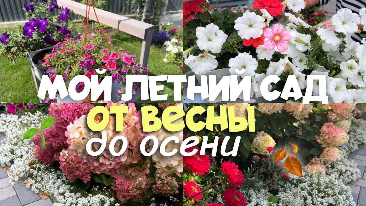 ДОБРО ПОЖАЛОВАТЬ В МОЙ ЛЕТНИЙ САД🪴 / ОТ ВЕСНЫ ДО ОСЕНИ - ВДОХНОВЕНИЕ🌸/ ЛУЧШИЕ ИДЕИ🌱