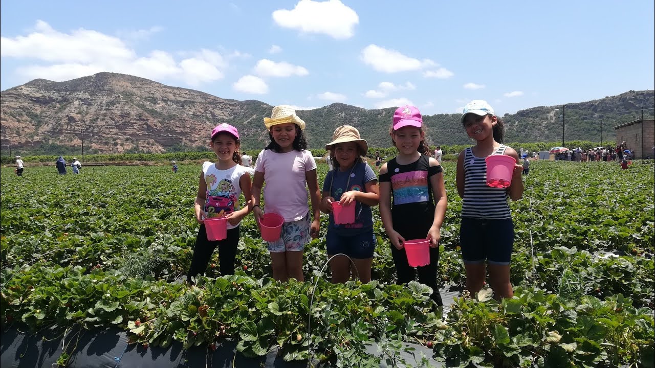 Mooihoek and Padlangs #DayTrip