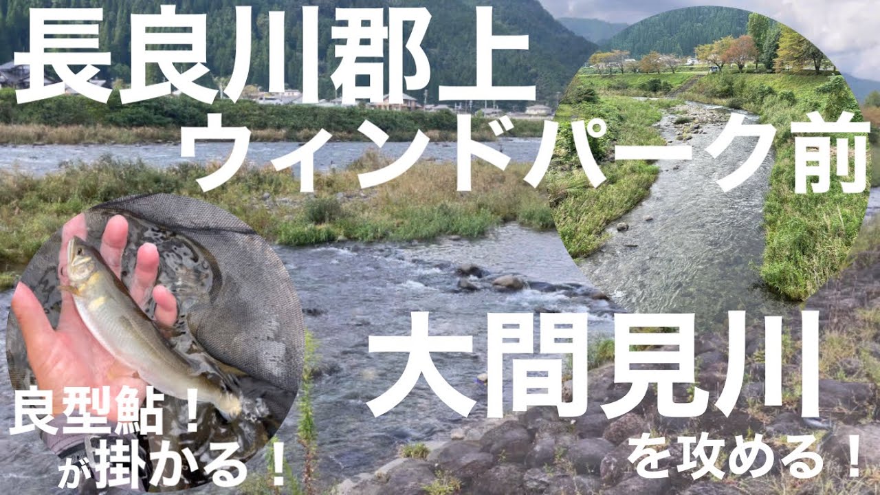 長良川郡上！大間見川を攻める！