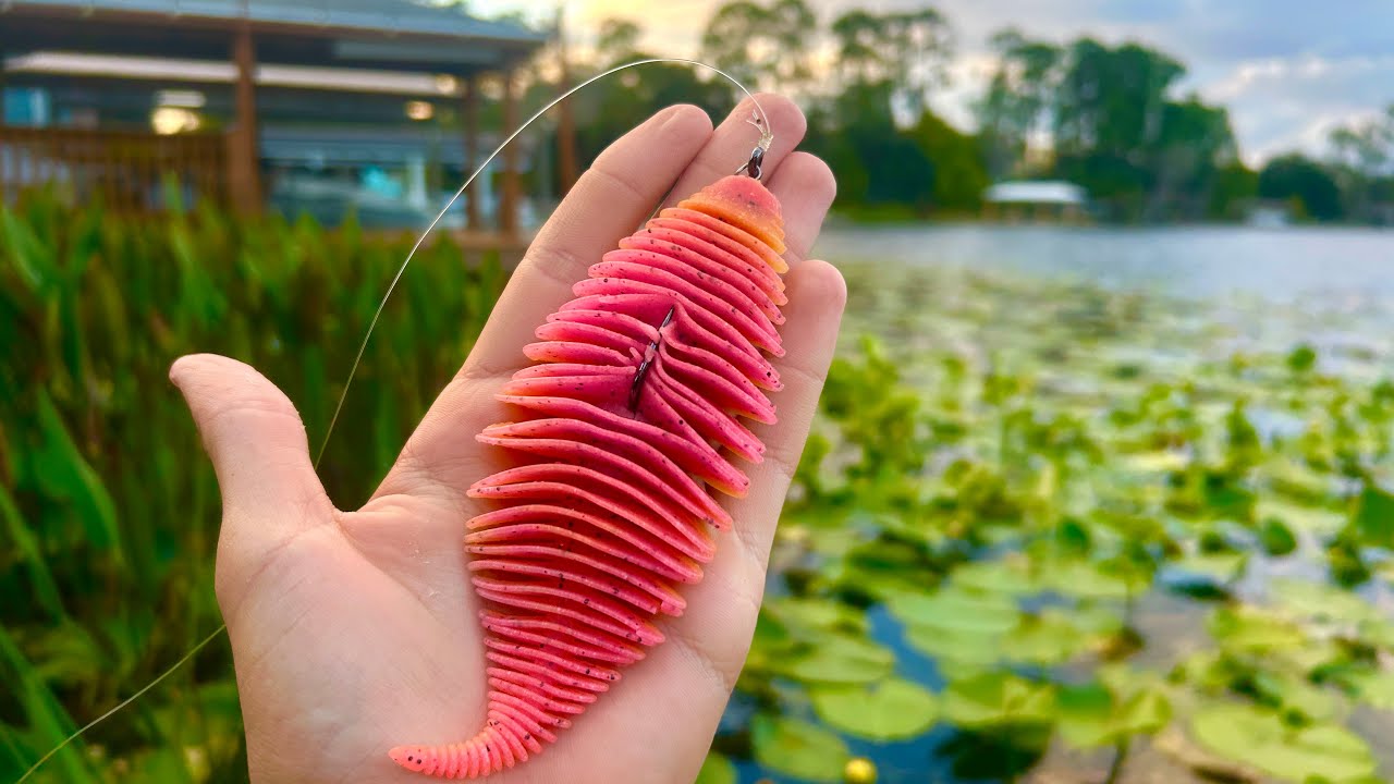 Рыбалка на небольшом озере во Флориде с ЛУЧШИМ мягким пластиком!!!