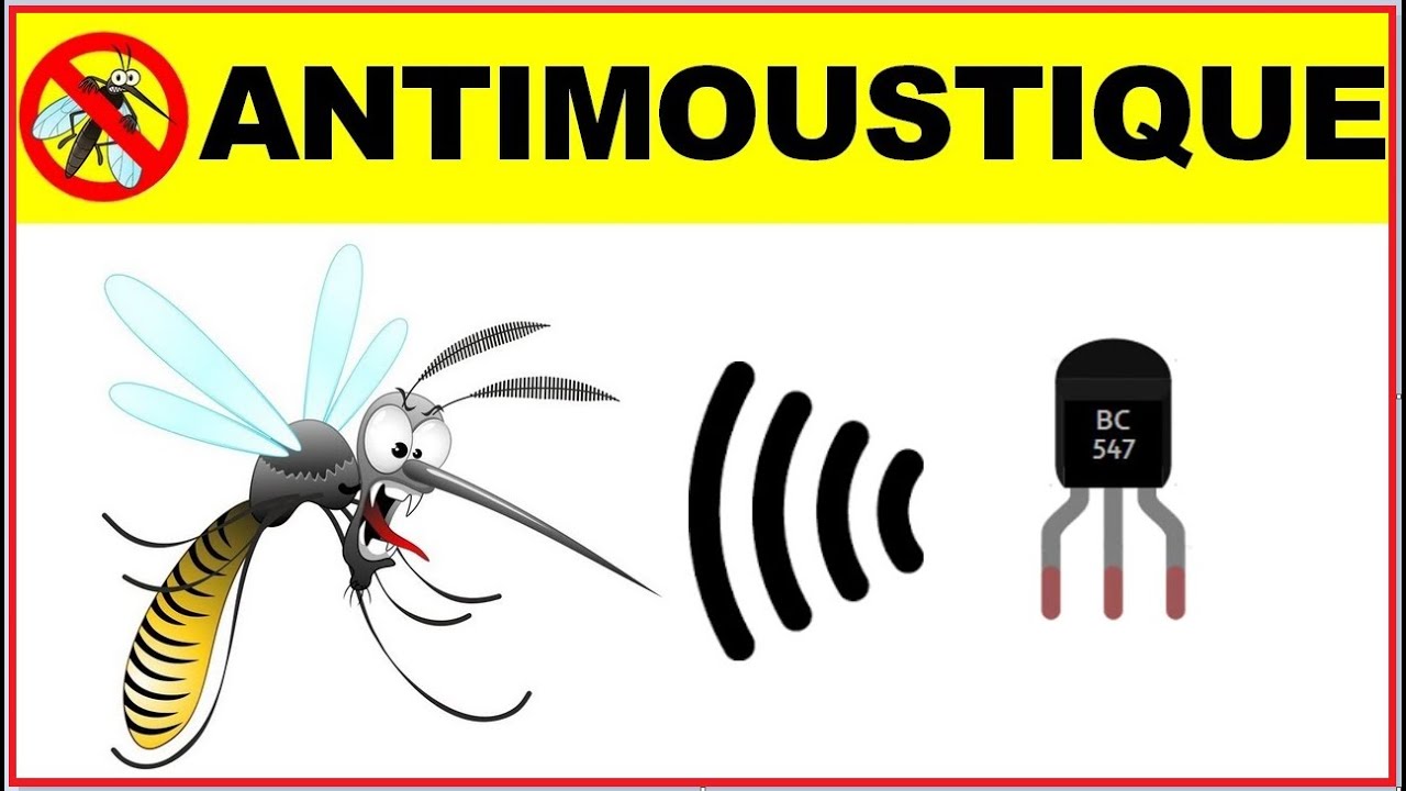 Anti-moustique : l'arme fatale  - Son anti Moustiques &agrave; 22 kHz