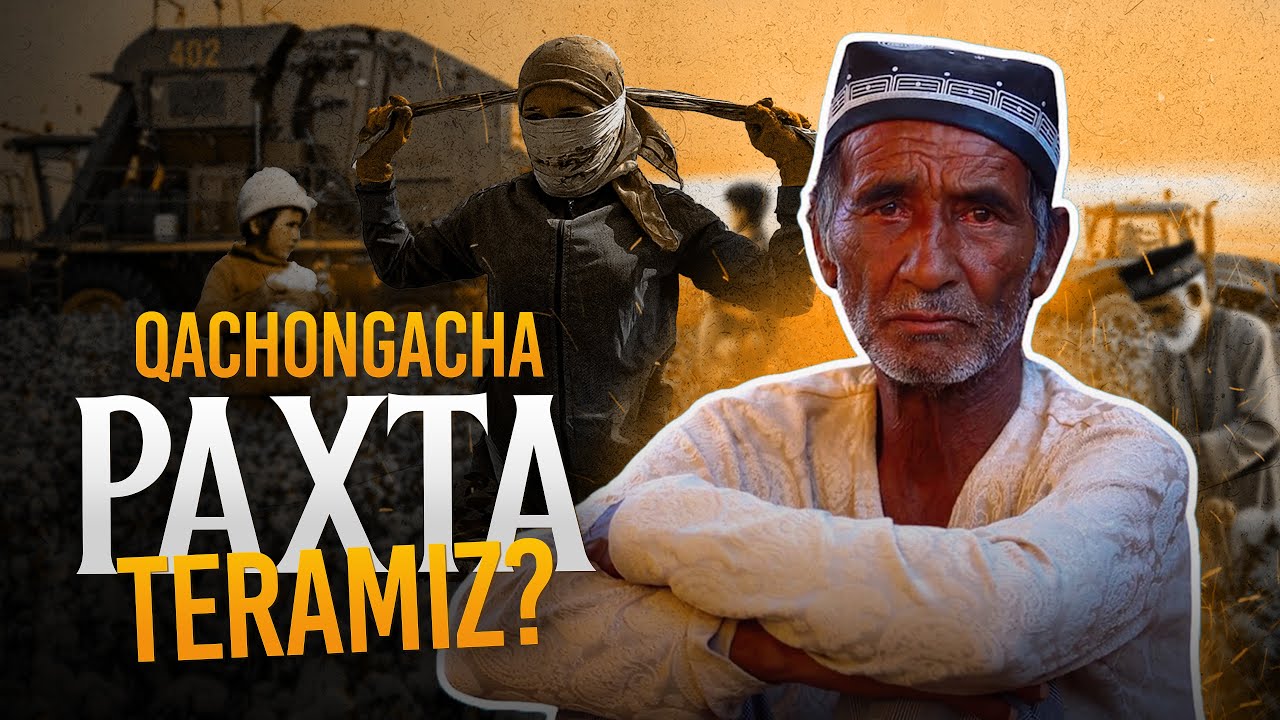 Qachongacha paxta teramiz | Ustoz Abdulloh Zufar