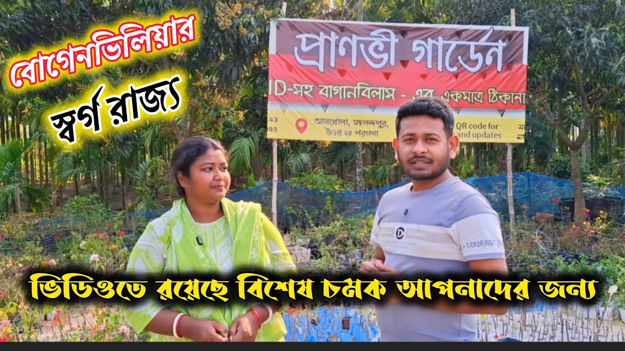 প্রাণভী গার্ডেন বোগেনভিলিয়ার এক স্বর্গরাজ্য।