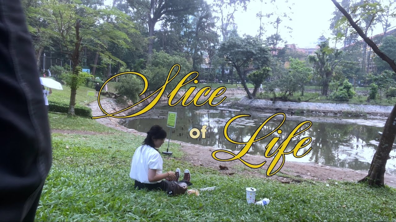toi đi sờ thú