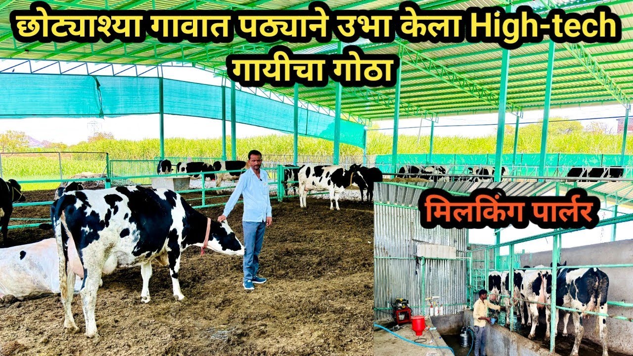 मी पण भविष्यात असाच गोठा बांधणार | Hightech Dairy Farm In Maharashtra
