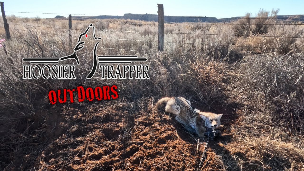 Hoosier Trapper Outdoors - S.14 Ep.8 - Еще один день на траплайне!