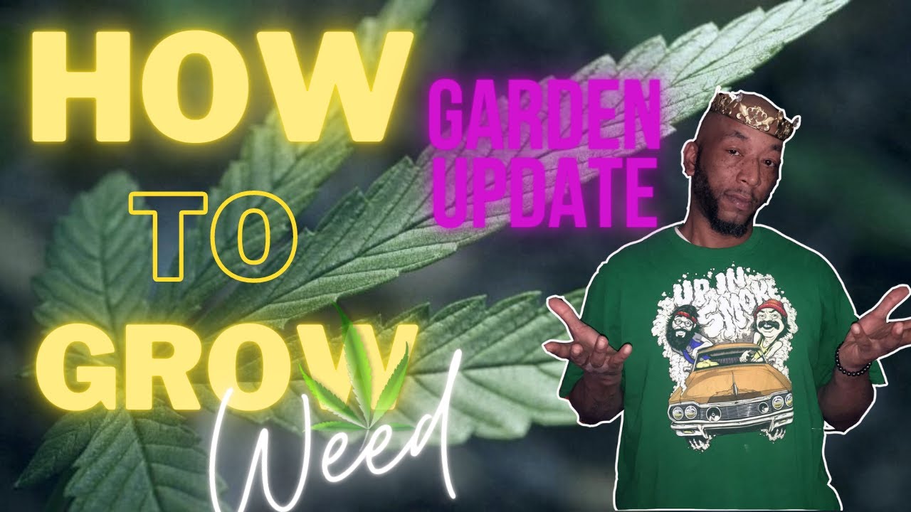 How to Grow Weed: Garden Update and Unboxing(mystery package) #howtogrowweed #unboxing #gardenupdate