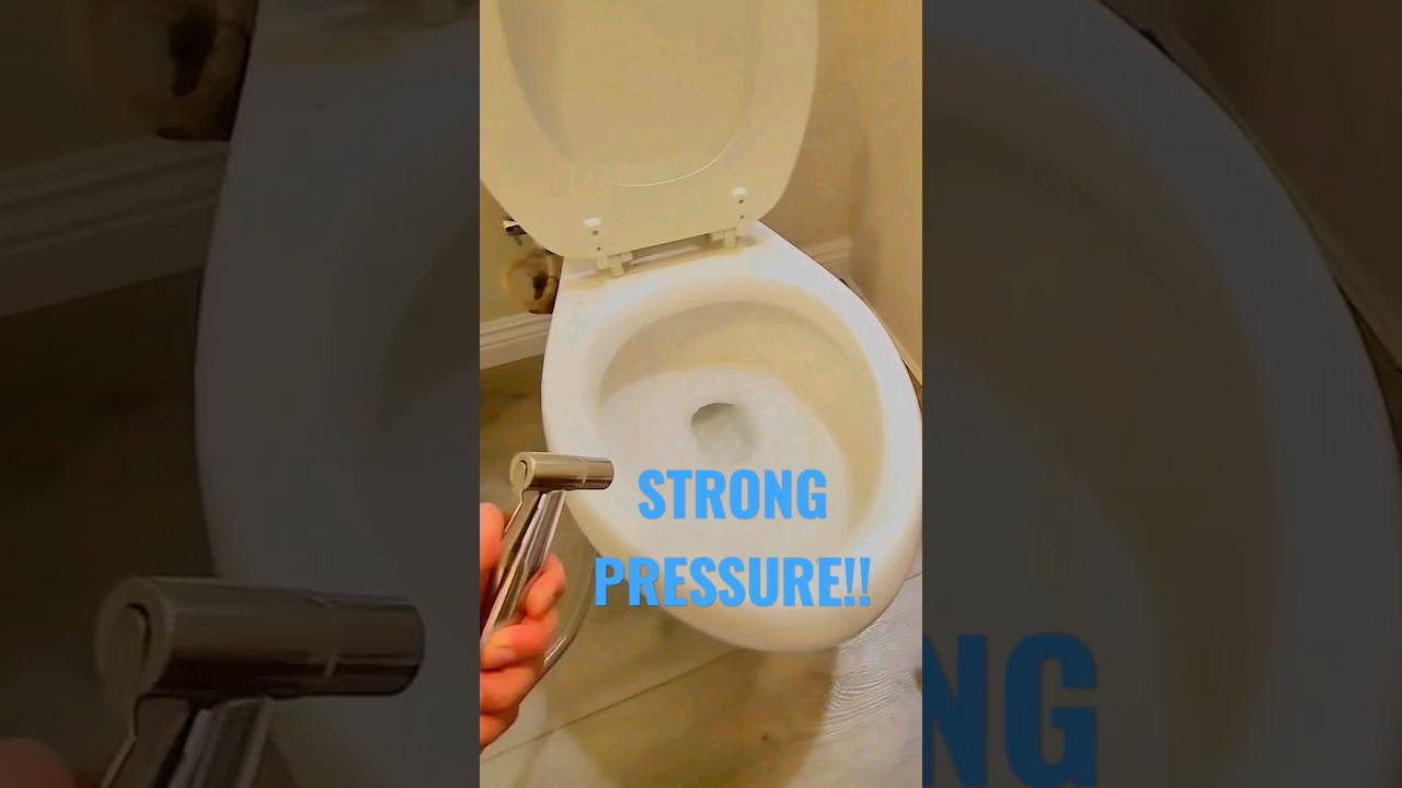 Toilet sprayer quick install #homerepair #plumbingrepair #plumber