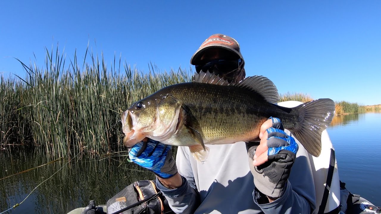 The start of Fall Bass fishing..Owens Valley style