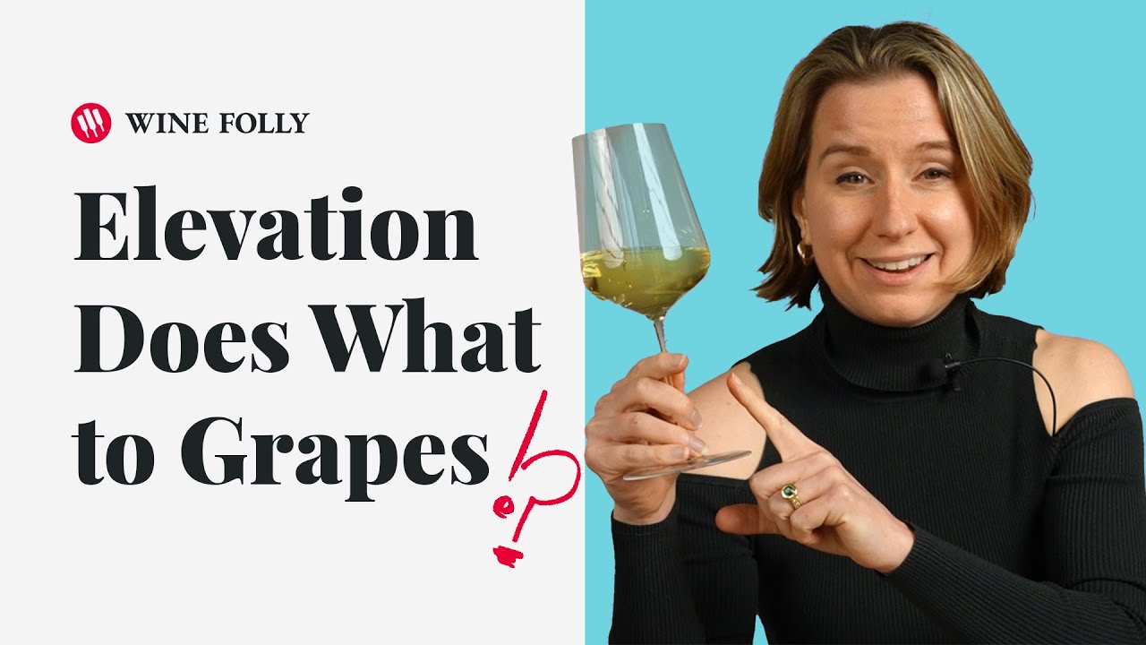 How Elevation Affects Grape Varieties (ep. 39) Wine Folly