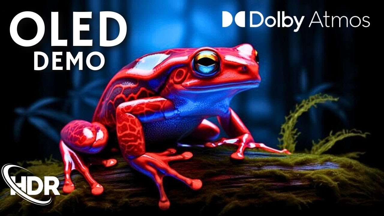 Ultimate OLED Experience: HDR, 120FPS Performance!. Dolby Vision