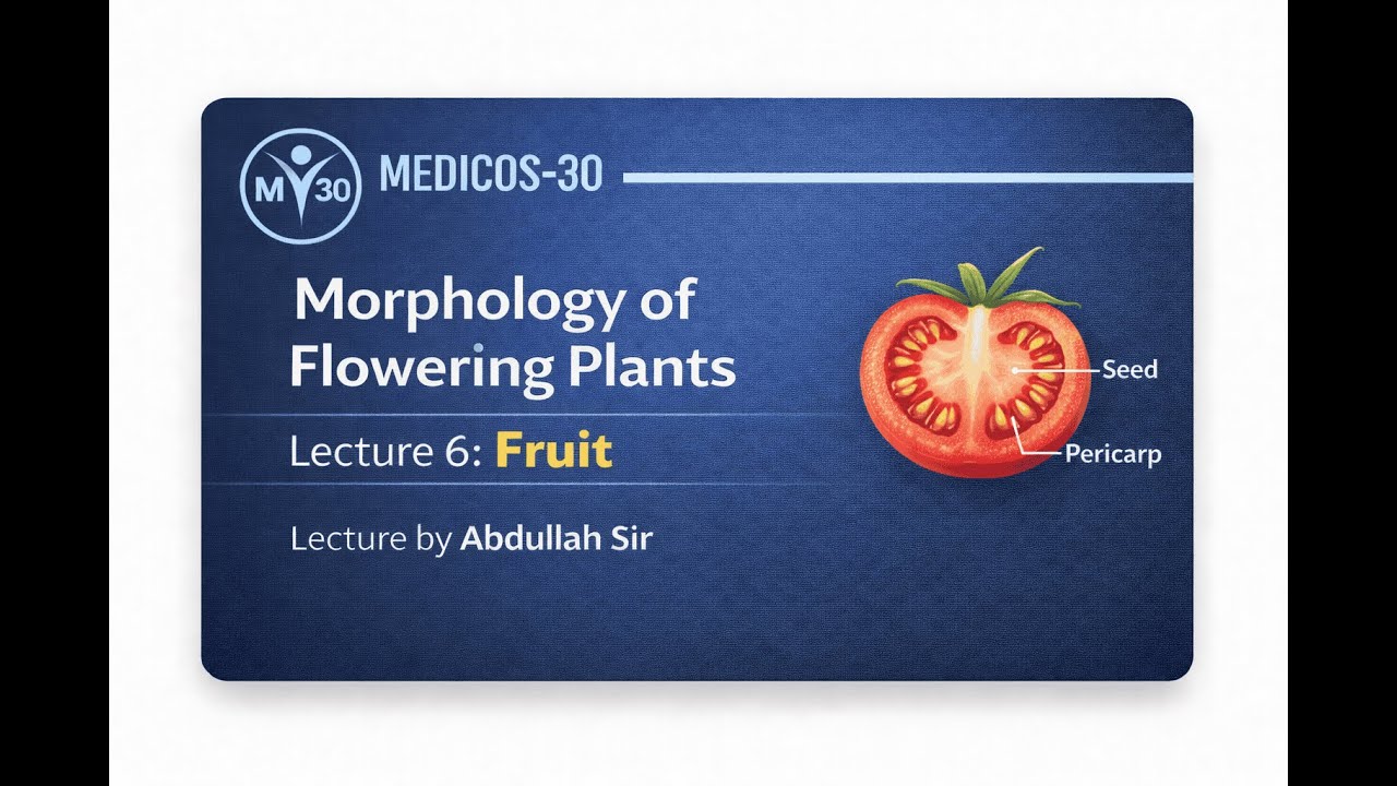 L - 6 | Morphology of Flowering Plants | Fruit |