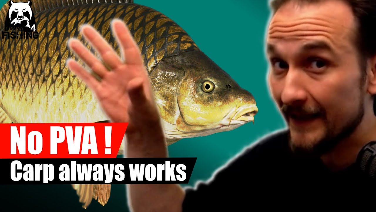 Russian Fishing 4 -  Bear Lake - Carp! No PVA! Always works. Hair rig, boilies, and groundbait mix.