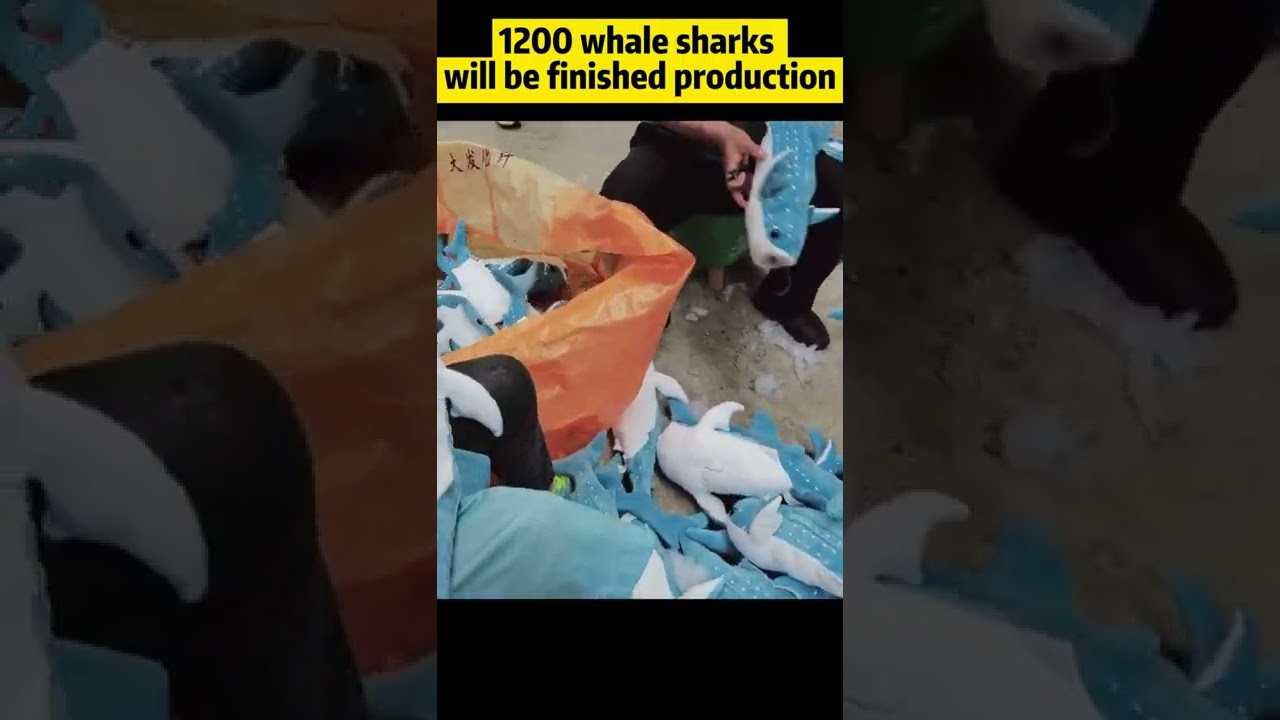 whale shark toy | plush whale shark pillow