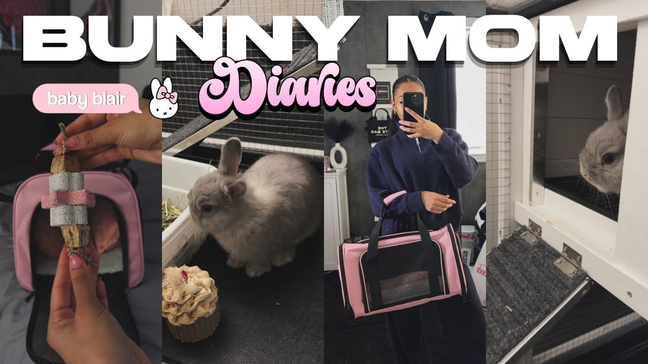 Завожу кролика! 🐰 | Подготовка, покупки в зоомагазине, строительство клетки и многое другое!